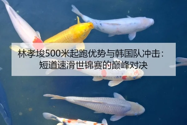 林孝埈500米起跑优势与韩国队冲击：短道速滑世锦赛的巅峰对决