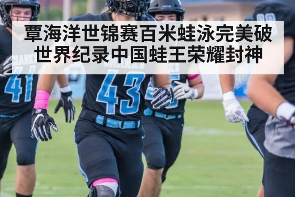 覃海洋世锦赛百米蛙泳完美破世界纪录中国蛙王荣耀封神